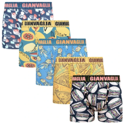 P�nske Bavlnen� Boxerky GIANVAGLIA GVG-5079 5-balenie - dar?ekov� balenie mix farieb