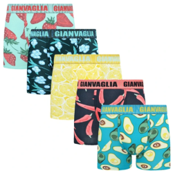 P�nske Bavlnen� Boxerky GIANVAGLIA GVG-5078 5-balenie - dar?ekov� balenie mix farieb